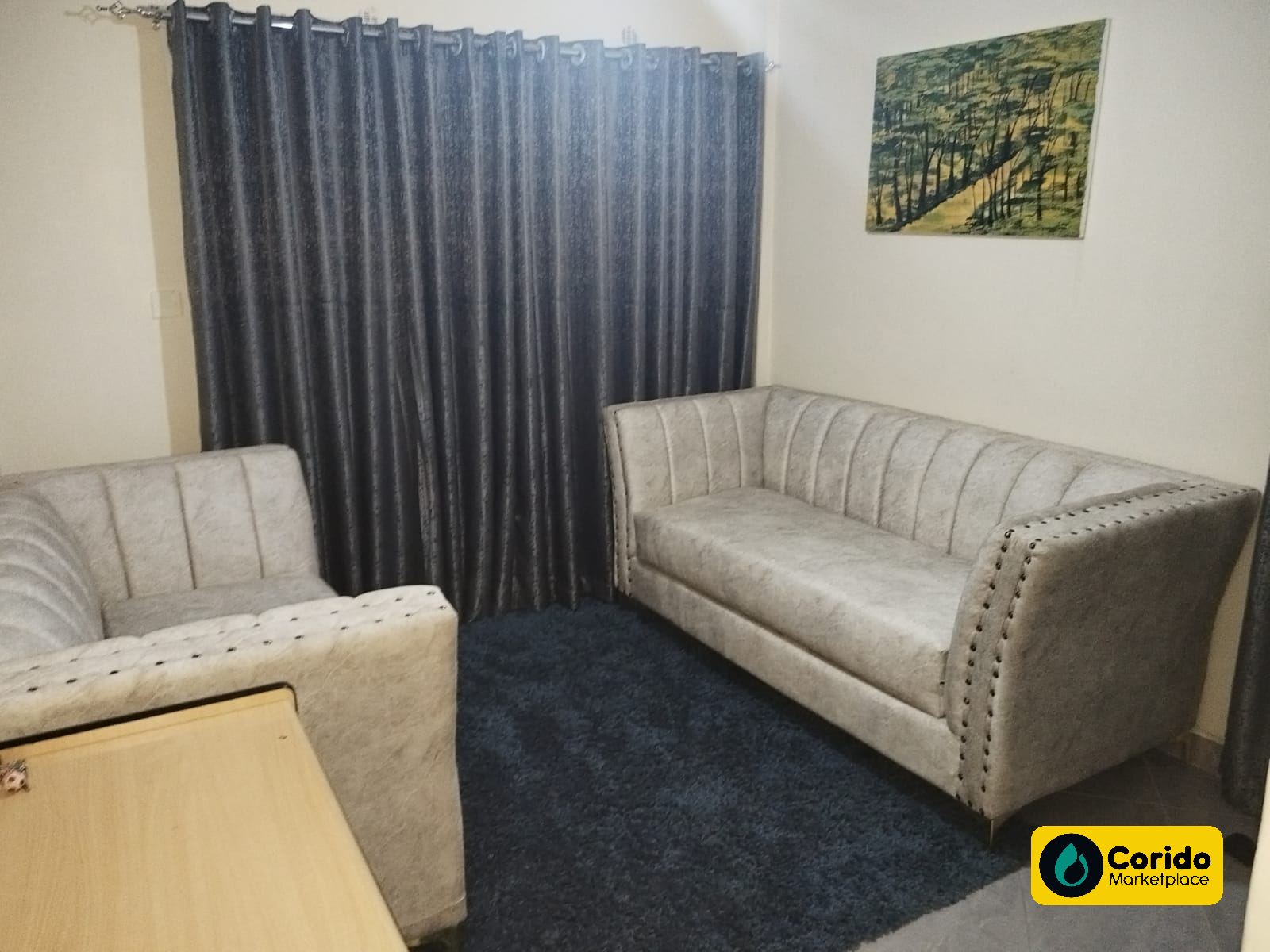 Modern Grey Tufted Sofa Set