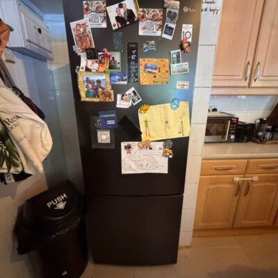 Clean LG 451L Refrigerator – Matte Black