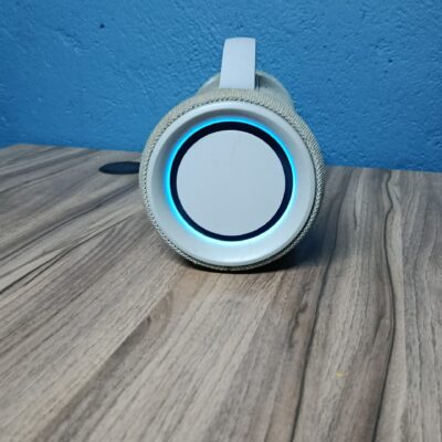 Sony SRS-XG300 Wireless Bluetooth Speaker