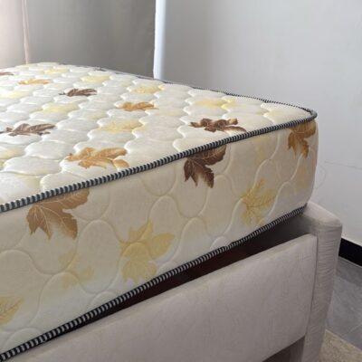Modern 5*6 Bed & Mattress