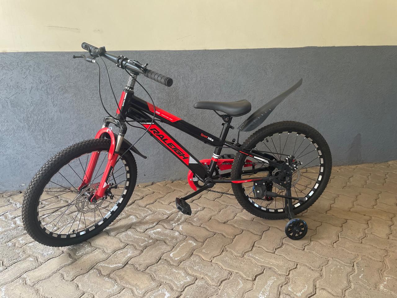 Clean Raleigh Youth Mountain Bike