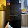 Midea 482L French Door Refrigerator On Sale