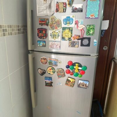 Samsung Grey Double Door Fridge