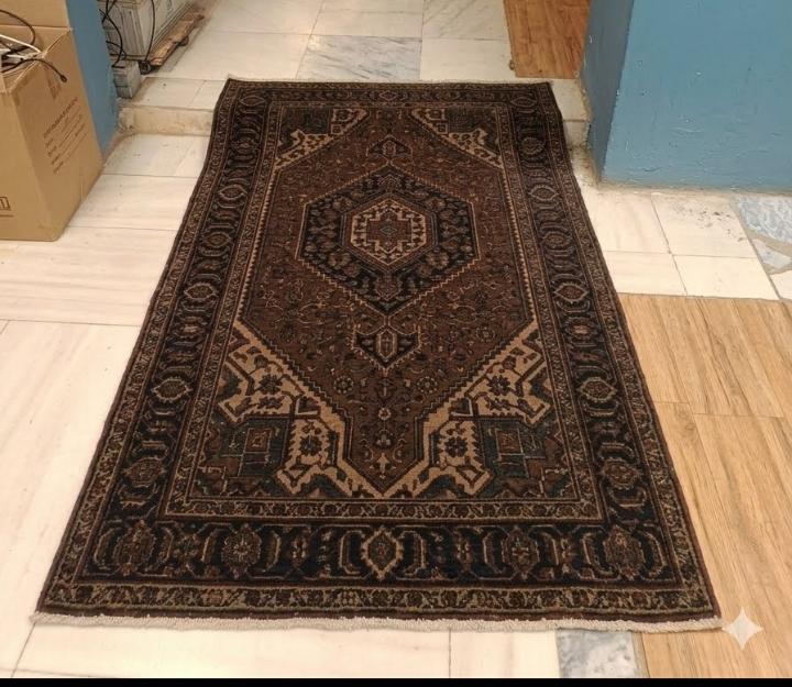 Clean Persian 6*9 Carpet