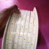 50 Metres Milano Double Lines 180LED Strip Light.