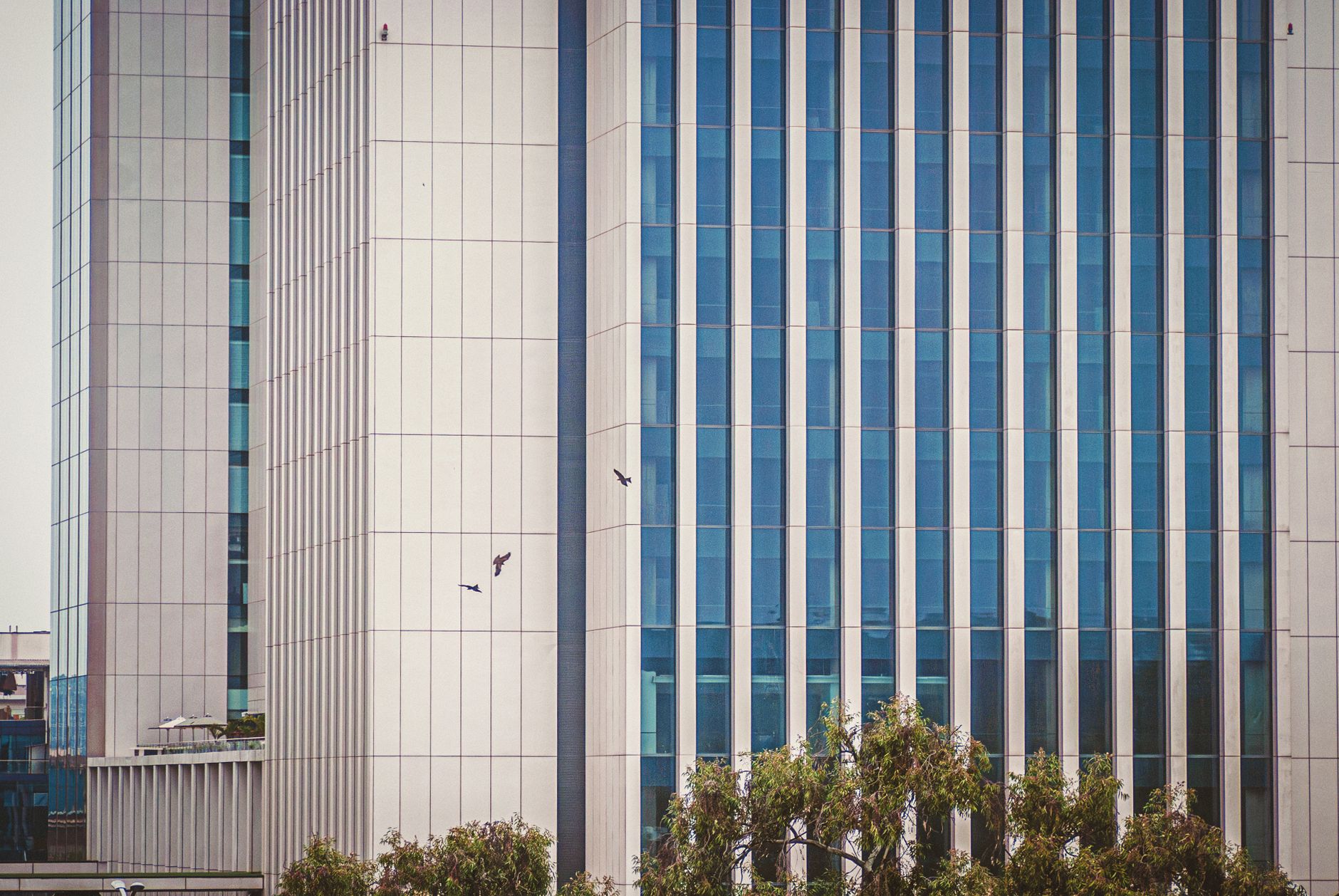 Corporate Asset Disposal in Kenya: 7 Proven Steps for a Structured, Maximum-Return Approach (2026 Guide)